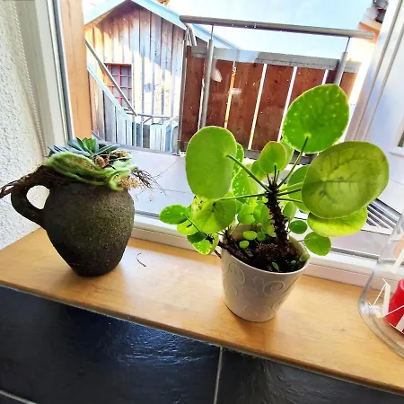 Traumwohnung Mit Sonnen-balkon - Nur 5 Min Vom Ep Apartment Rheinhausen