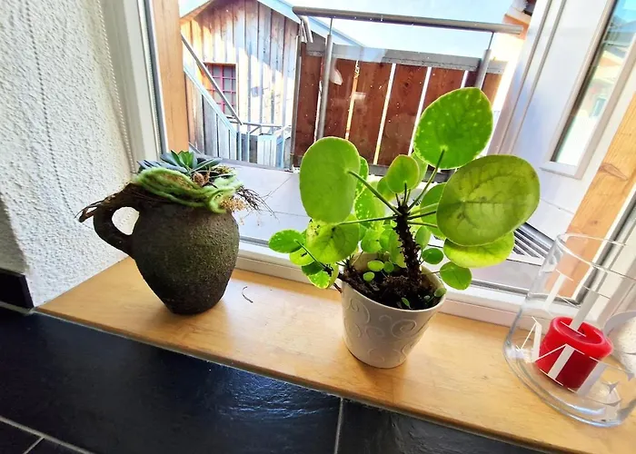 Traumwohnung Mit Sonnen-balkon - Nur 5 Min Vom Ep Daire Rheinhausen